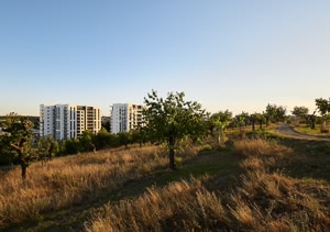 JIRIBEDNAR.COM